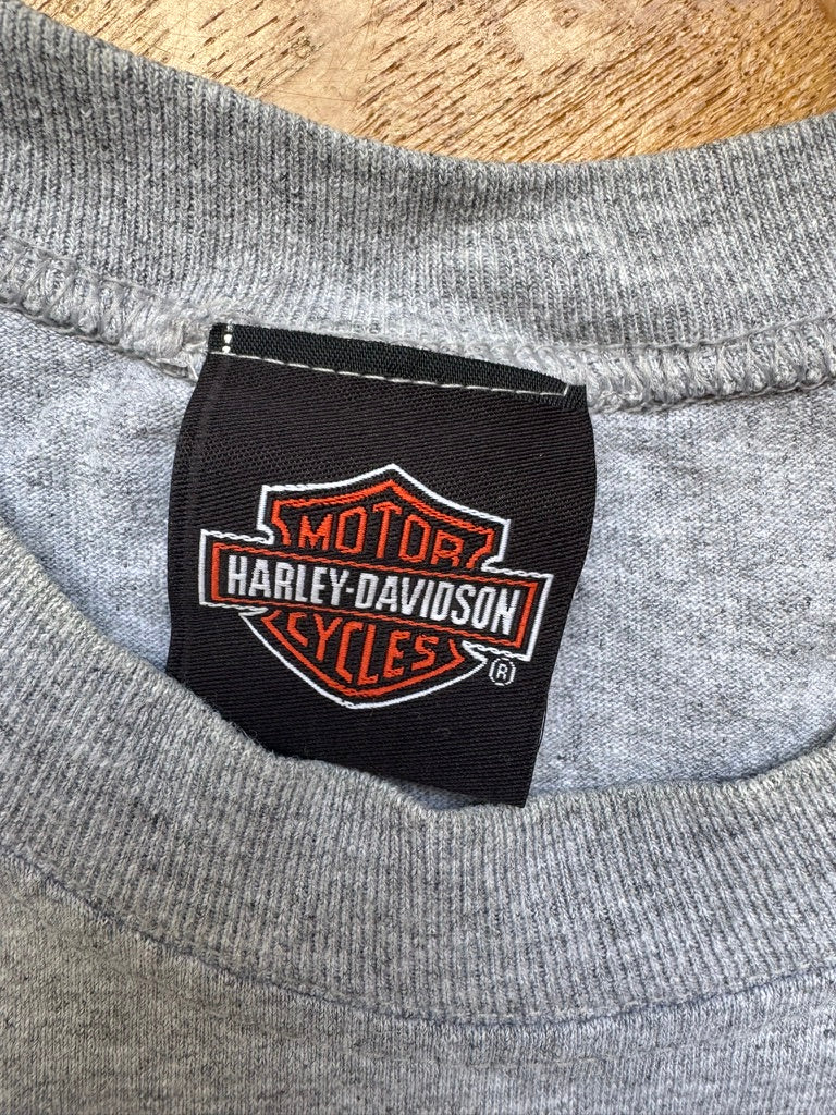 Harley Davidson Muscle Tee Gris 2013 - Taille L